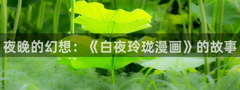 漫蛙2官网链接