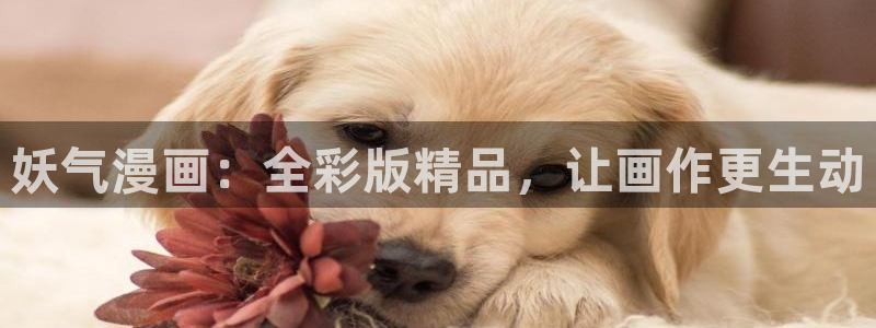漫蛙manwa官网版正版：妖气漫画：全彩版精品，让画作更生动