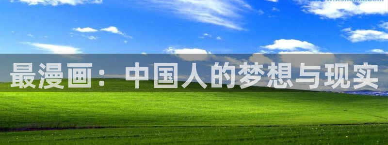 漫蛙漫画app正版下载免费：最漫画：中国人的梦想与现实