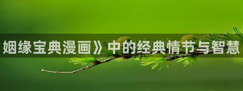 漫蛙[爱你]：姻缘宝典漫画》中的经典情节与智慧