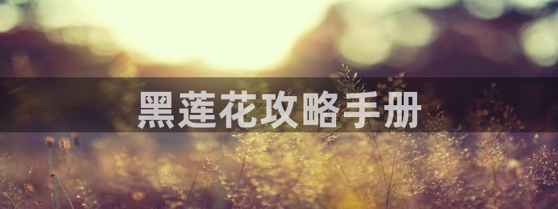 漫蛙在线免费看：黑莲花攻略手册
