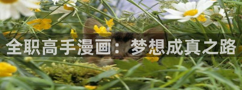 漫蛙漫画(网页入口)将杀：全职高手漫画：梦想成真之路