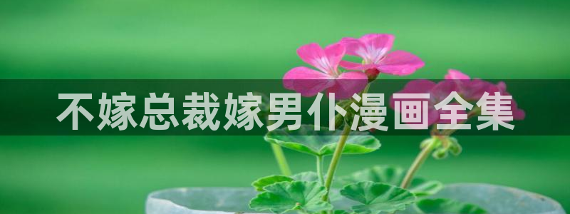 漫蛙进不去：不嫁总裁嫁男仆漫画全集