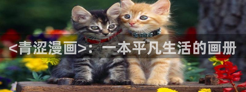 漫蛙官网入口网页版：<青涩漫画>：一本平凡生活的画册