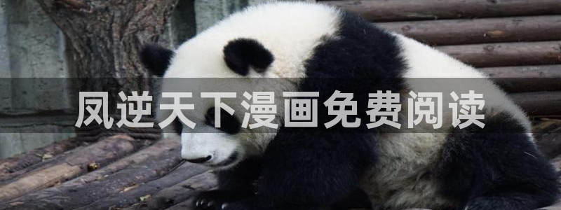 漫蛙在线阅读：凤逆天下漫画免费阅读