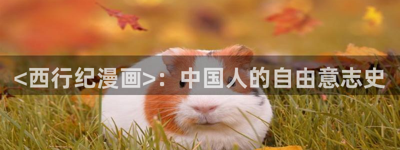 漫蛙漫画(网页版)免费：<西行纪漫画>：中国人的自由意志史