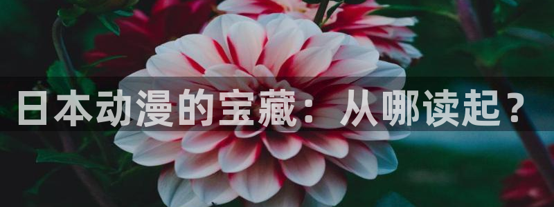 漫蛙网站链接：日本动漫的宝藏：从哪读起？