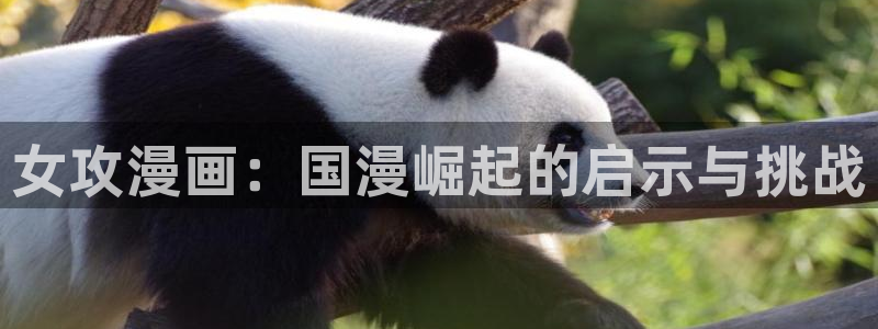 漫蛙下载链接正版官网：女攻漫画：国漫崛起的启示与挑战