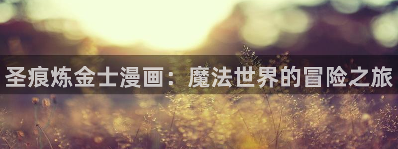 漫蛙2manwa：圣痕炼金士漫画：魔法世界的冒险之旅