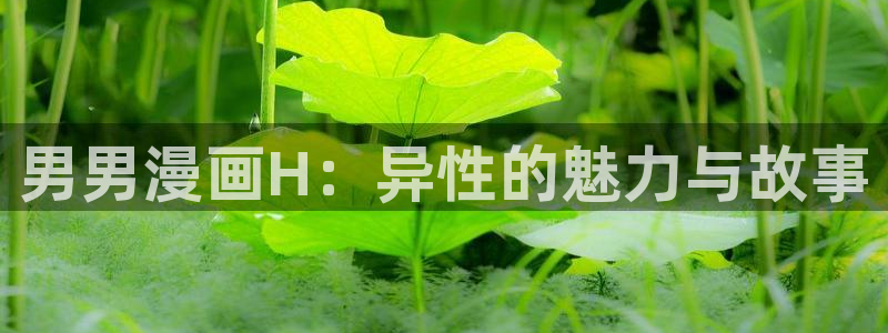 漫蛙漫画免费官网入口：男男漫画H：异性的魅力与故事