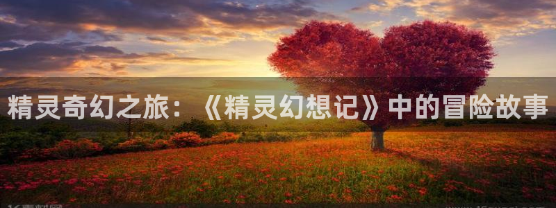 漫蛙走失页怎么使用：精灵奇幻之旅：《精灵幻想记》中的冒险故事