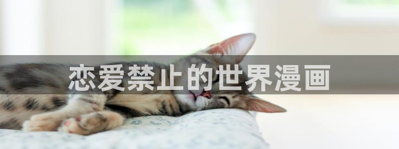 漫蛙防走失页：恋爱禁止的世界漫画