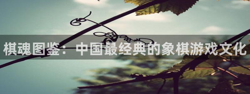 漫蛙2安卓版下载：棋魂图鉴：中国最经典的象棋游戏文化