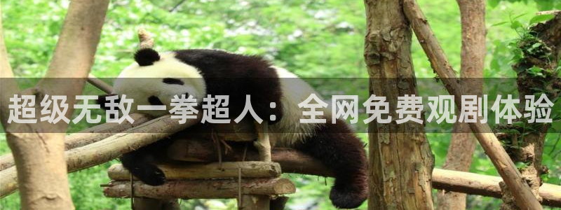 漫蛙2旧版：超级无敌一拳超人：全网免费观剧体验